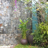 фото из отзыва ID 1127705