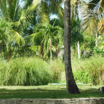 фото из отзыва ID 1127761