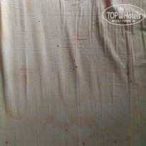 фото из отзыва ID 1127980