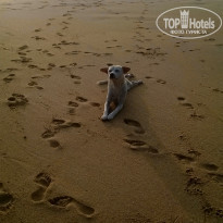 фото из отзыва ID 1127989