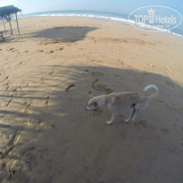 фото из отзыва ID 1127989