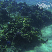 фото из отзыва ID 1128082