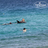 фото из отзыва ID 1128115