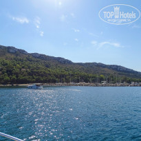 фото из отзыва ID 1128231