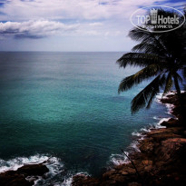 фото из отзыва ID 1128239