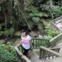 фото из отзыва ID 1128478