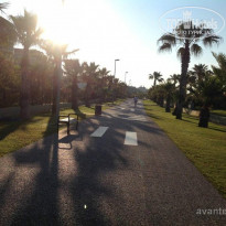 фото из отзыва ID 1128284