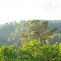 фото из отзыва ID 1128519