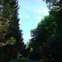 фото из отзыва ID 1128519