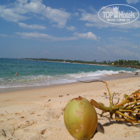 фото из отзыва ID 1128574