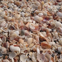 фото из отзыва ID 1128764