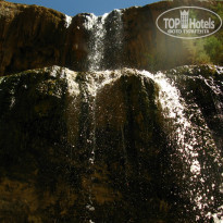 фото из отзыва ID 1128775