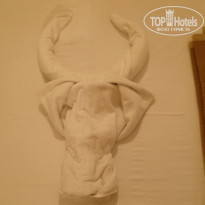 фото из отзыва ID 1128818