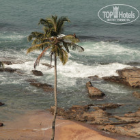 фото из отзыва ID 1128818