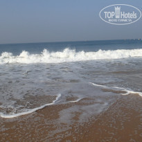 фото из отзыва ID 1128818