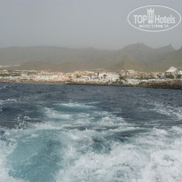 фото из отзыва ID 1129138