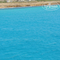 фото из отзыва ID 1126535