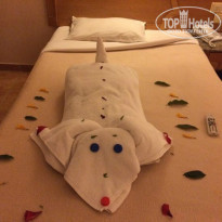 фото из отзыва ID 1129524