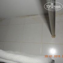 фото из отзыва ID 1129572