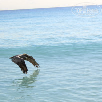 фото из отзыва ID 1129672