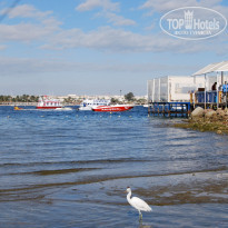 фото из отзыва ID 1129759