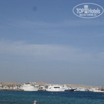 фото из отзыва ID 1129964