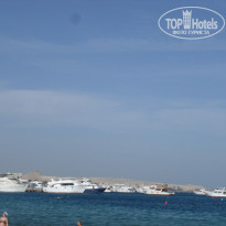 фото из отзыва ID 1129964