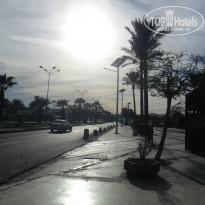 фото из отзыва ID 1128836