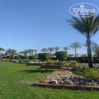 фото из отзыва ID 1128836