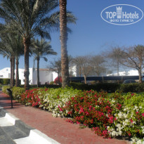 фото из отзыва ID 1128836