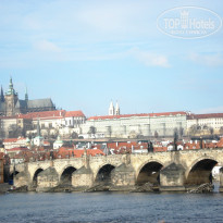 фото из отзыва ID 1129150