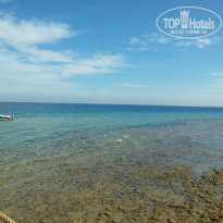 фото из отзыва ID 1125873