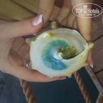 фото из отзыва ID 1125873