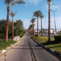 фото из отзыва ID 1126486