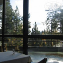 фото из отзыва ID 113492