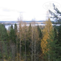 фото из отзыва ID 113492