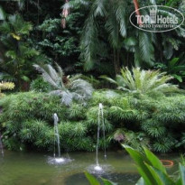 фото из отзыва ID 113867