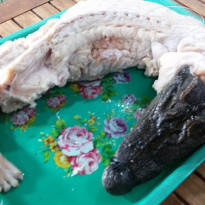 фото из отзыва ID 1130128