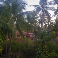 фото из отзыва ID 1130203