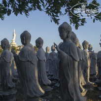 фото из отзыва ID 1130203