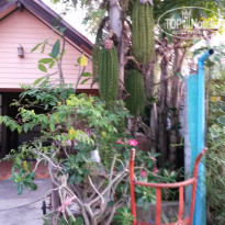 фото из отзыва ID 1130278