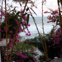 фото из отзыва ID 1130376