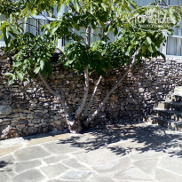 фото из отзыва ID 1130560