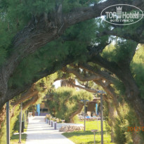 фото из отзыва ID 1130630