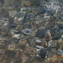 фото из отзыва ID 1130630