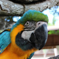 фото из отзыва ID 1130701