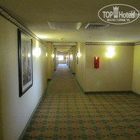 фото из отзыва ID 1130726