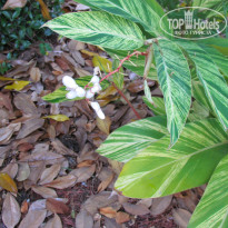 фото из отзыва ID 1130726