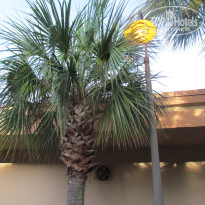 фото из отзыва ID 1130726