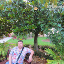 фото из отзыва ID 1130726